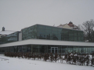54.jpg